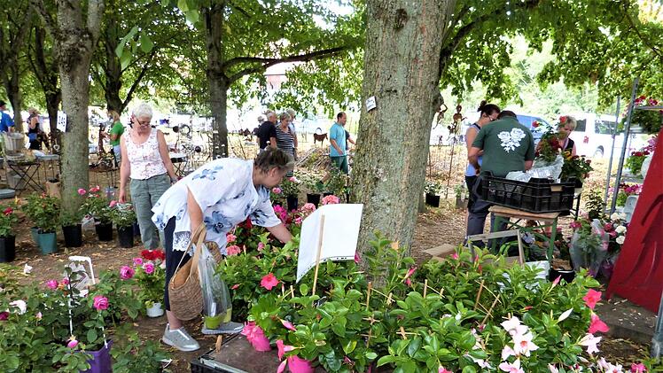 Impression von der Kunst- und Gartenmesse