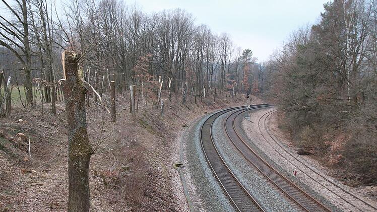 Rechts vom Bahndamm hat die DB noch nichts fällen lassen. Hier verläuft auch die Strecke der Museumsbahn.