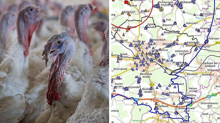 Geflügelpest im Landkreis Ansbach amtlich bestätigt