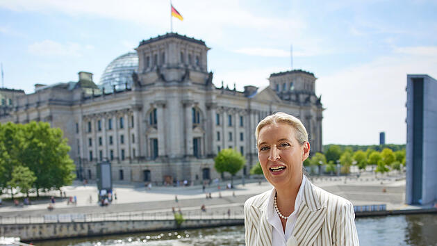 "Einfach nur lachhaft": Bamberger Politiker kritisiert Weidel-Interview