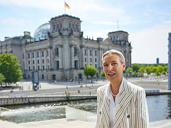 "Einfach nur lachhaft": Bamberger Politiker kritisiert Weidel-Interview