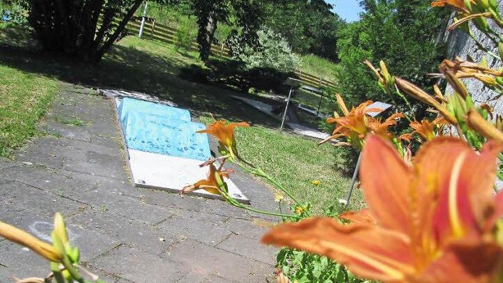 Einen Dornröschenschlaf hält die Ebracher Minigolf-Anlage, sie soll wachgeküsst werden. Foto: W. Hanslok