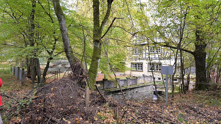 Die Betonpfosten links markieren den ehemaligen Grenzverlauf. Foto: Ronald Rinklef