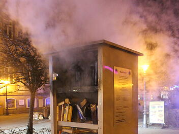 Öffentlicher Bücherschrank in Brand