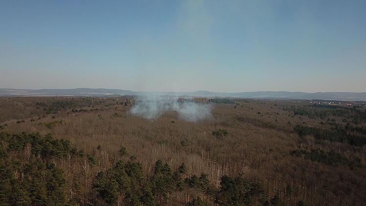 Zapfendorf: Waldgebiet bei A73 in Brand