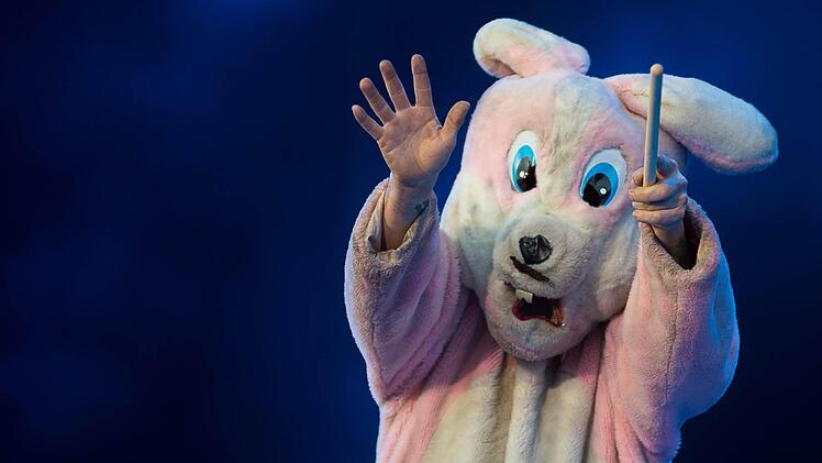 Der pinke Hase ist immer bei den Green Day Konzerten dabei. Foto: Tobias Köpplinger