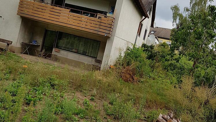 Der Kahlschlag im Garten der Flüchtlingsunterkunft Kiefernstraße 5 im Forchheimer Ortsteil Buckenhofen erregt die Gemüter der Nachbarn.  Foto: Ekkehard Roepert