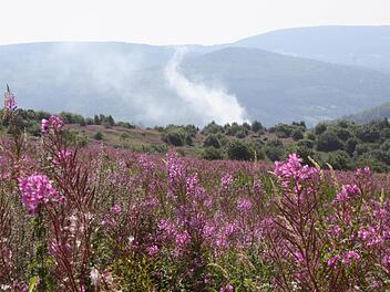 Das Dammersfeld auf dem Truppenübungsplatz ist selbst für die Bundeswehr tabu. Die Gefahr durch Blindgänger ist einfach zu groß. Foto: Archiv/Ulrike Müller