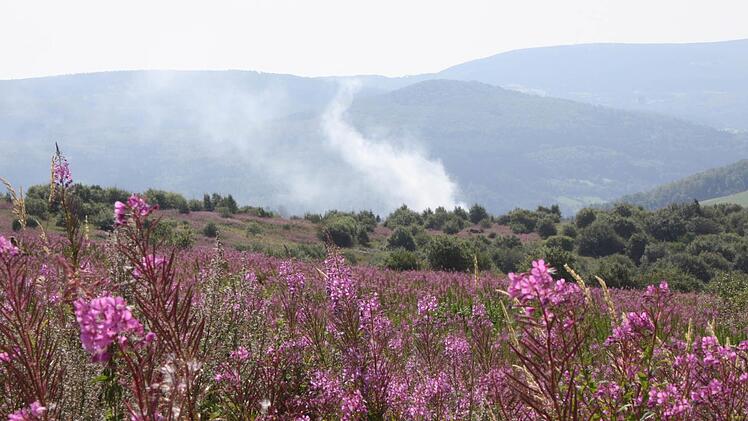 Das Dammersfeld auf dem Truppenübungsplatz ist selbst für die Bundeswehr tabu. Die Gefahr durch Blindgänger ist einfach zu groß. Foto: Archiv/Ulrike Müller