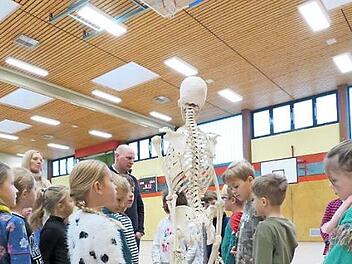 Am Skelett wurden Knochen und Gelenke anschaulich erklärt.  Foto: Schütz