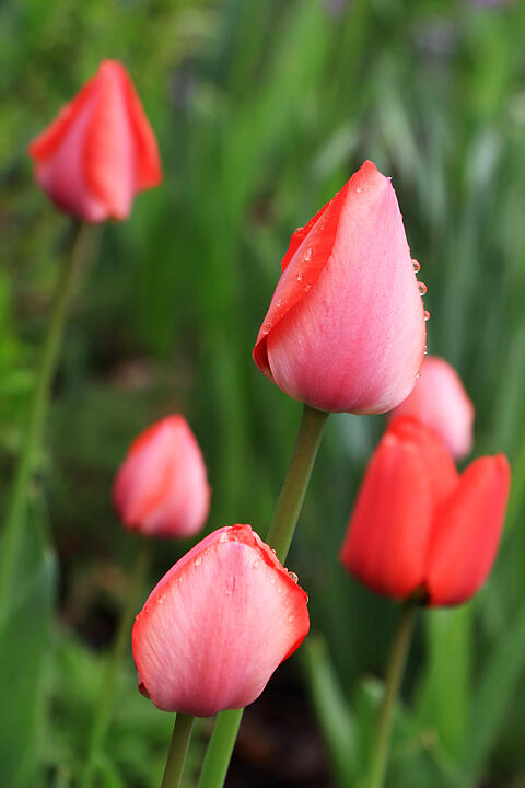 Fotos Konrad Thomann