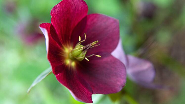 Foto: Andrea Warnecke, dpa