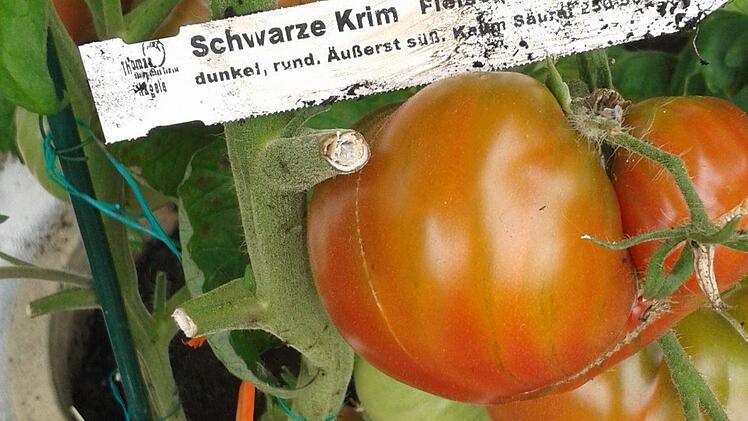 Foto: Privat