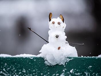 Schneemann - Quiz zu den Nachrichten der Woche