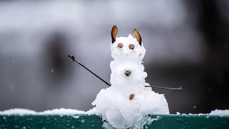 Schneemann - Quiz zu den Nachrichten der Woche