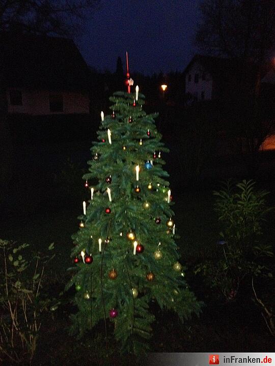 Weihnachten in Franken: Die Christbäume unserer Leser