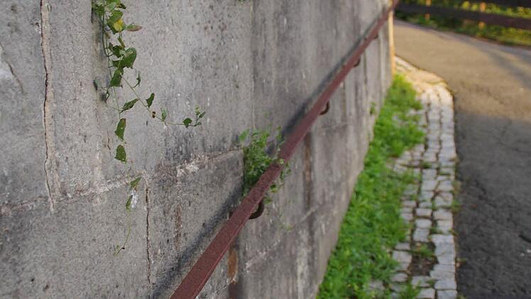 Ortstermin zur Stadtsanierung in Wallenfels. Foto: Marco Meißner