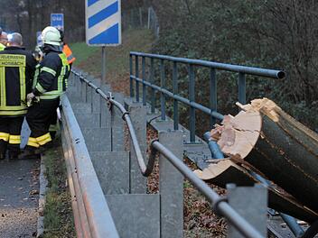 In Unterfranken sorgte Sturmtief Burglind für Chaos. Vor allem Einsätze wegen umgestürzter Bäume werden gemeldet. Foto: News5/Winter
