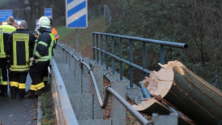 In Unterfranken sorgte Sturmtief Burglind für Chaos. Vor allem Einsätze wegen umgestürzter Bäume werden gemeldet. Foto: News5/Winter