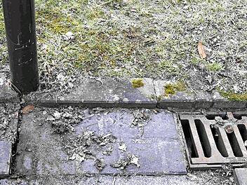Das Oberflächenwasser in der Katharina-von-Bora-Straße läuft durch den Spalt vor dem Gully ab und versickert in den Gärten. Der Laternenmast droht wegen der Unterspülung umzufallen.  Foto: Andreas Welz