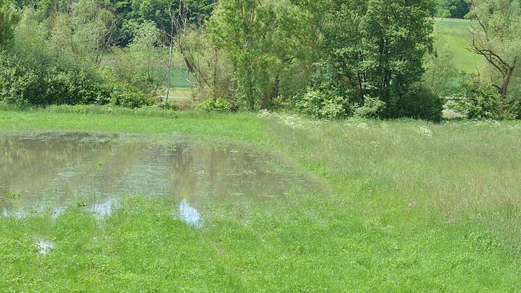 Schmutziges Wasser überschwemmte viele Wiesen - wie hier im Itzgrund. Foto: Ronald Rinklef
