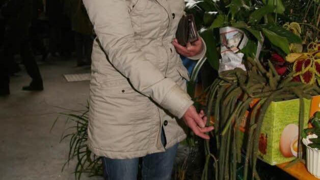 Je stacheliger, desto lieber - Anita Zipfel sammelt Kakteen und kann bei einem Riesenkaktus auf dem Flohmarkt nicht widerstehen.