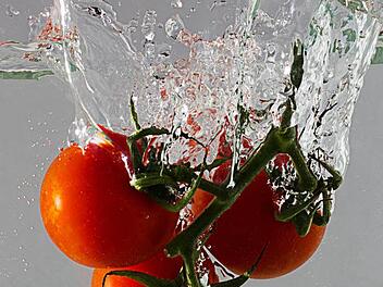 Das Bild des Monats Foto: Horst Müller