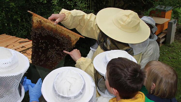 Da schlüpft gerade eine Biene! Kinder können durch das Schulbienen-Projekt der Umweltstation die Welt der Bienen hautnah erleben. Foto: Ramona Popp