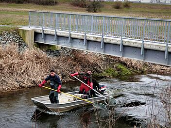 Mit dem Motorboot war Thomas Speierl mit weiteren Mitarbeitern der Fischereifachberatung in der Flutmulde unterwegs, um sich vom Fischbestand ein Bild zu machen.Werner Reißaus
