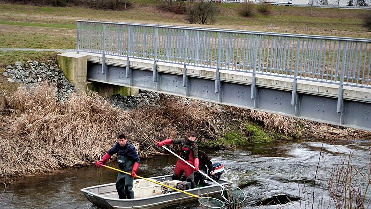 Mit dem Motorboot war Thomas Speierl mit weiteren Mitarbeitern der Fischereifachberatung in der Flutmulde unterwegs, um sich vom Fischbestand ein Bild zu machen.Werner Reißaus