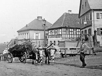 Der Dorfberg zu Beginn des 20. Jahrhunderts...  Foto: Stadtarchiv Kulmbach