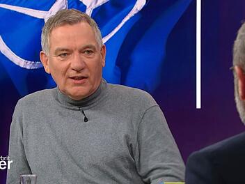 "Russland hätte mit dem Rücken zur Wand gestanden", erklärte Linken-Chef Jan van Aken.