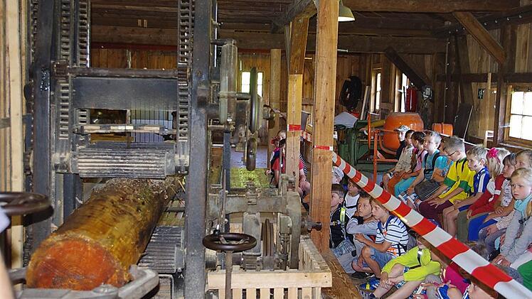 So funktioniert eine Säge - die Kinder sind fasziniert. Foto: Heike Schülein