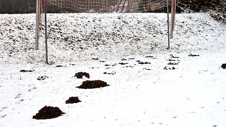 26 Maulwurfhügel durchziehen den Fünfmeterraum auf dem Sportplatz des VfR Hermannsberg-Breitbrunn. Fast täglich kommt einer dazu. Ob da für den Winter eine alte Bauernregel zutreffen wird?  Foto: Günther Geiling