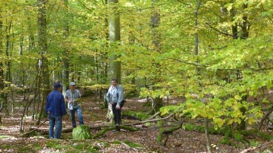 Dort, wo Wanderwart Klaus Riegler mit seinen Helfern steht, war früher ein See, nach Überlieferungen ein Karpfenteich, der schon lange aufgelassen ist. An der Größe der Bäume ist seine Lage aber noch gut zu erkennen.