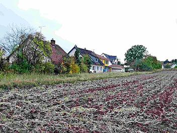 Nördlich der bestehenden Bebauung sollen zehn Grundstücke erschlossen werden. Foto: Richard Sänger