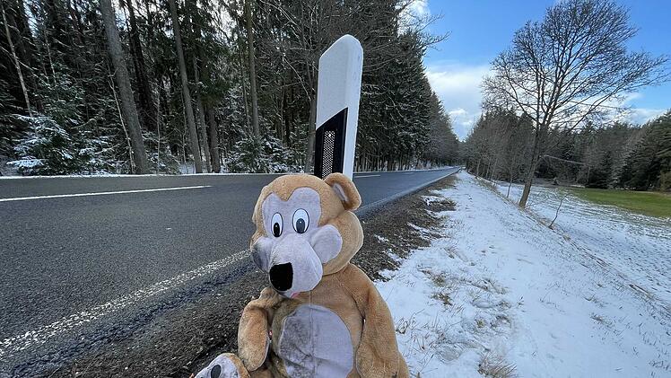 Ein einsamer Teddyb&auml;r wartet am Stra&szlig;enrand zwischen Hebanz und H&ouml;chsstadt auf seinen Besitzer.