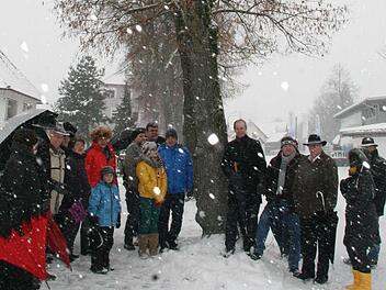 Über 20 Stadtsteinacher  Stadträte und Anwohner trafen sich zum Ortstermin in der Lindenallee. Sie fordern eine Fällung der Bäume in der Bahnhofstraße. Foto: Sonja Adam