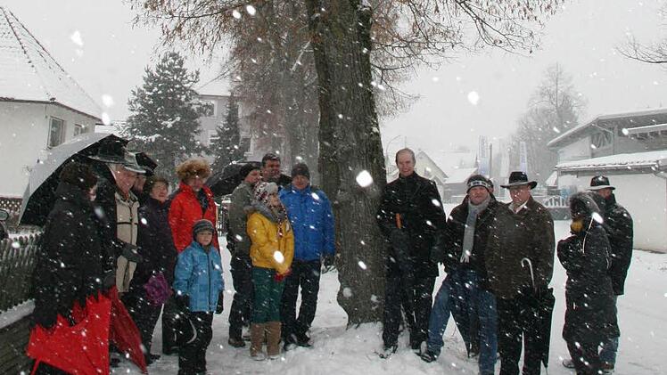 Über 20 Stadtsteinacher  Stadträte und Anwohner trafen sich zum Ortstermin in der Lindenallee. Sie fordern eine Fällung der Bäume in der Bahnhofstraße. Foto: Sonja Adam