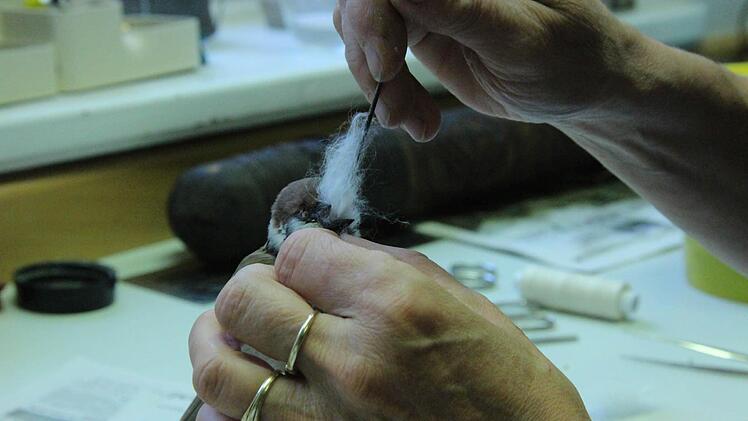 Nochmal Watte nachlegen.