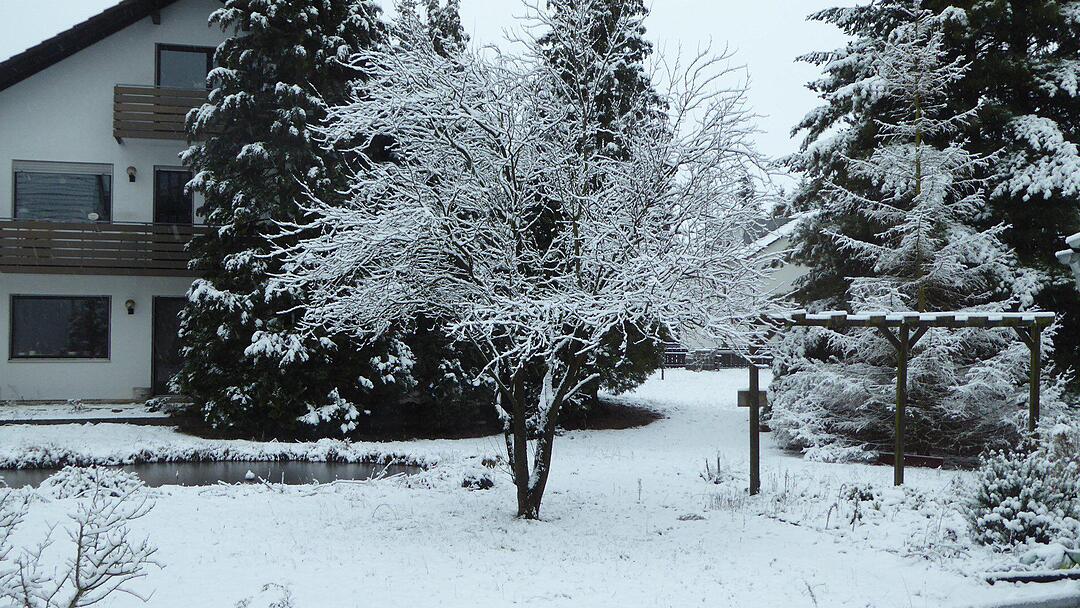 Schnee und Eis - Die schönsten Aufnahmen aus Franken