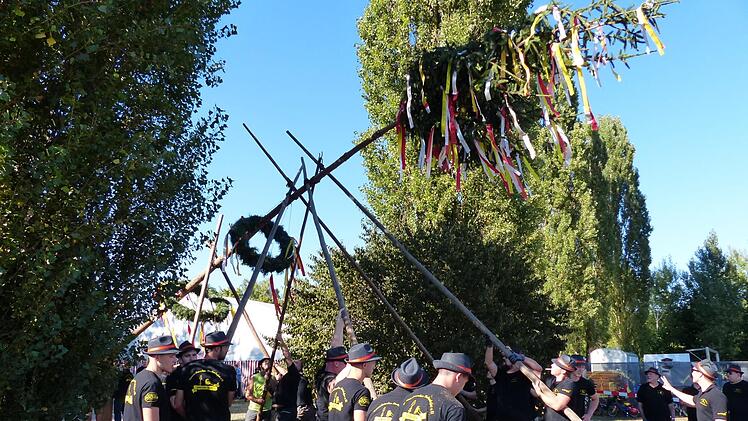 Die Kerwasburschen richten mit den langen Stangen den Baum aufzurichten. Foto: Pauline Lindner