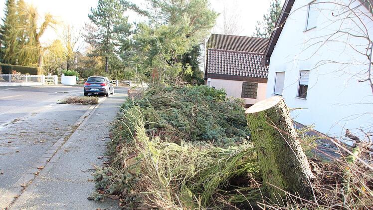 Im Raum Höchstadt wurde nur ein  abgeknickter Baum in der Tilman-Riemenschneider-Straße bei der Polizei aktenkundig.  Foto: Andreas Dorsch