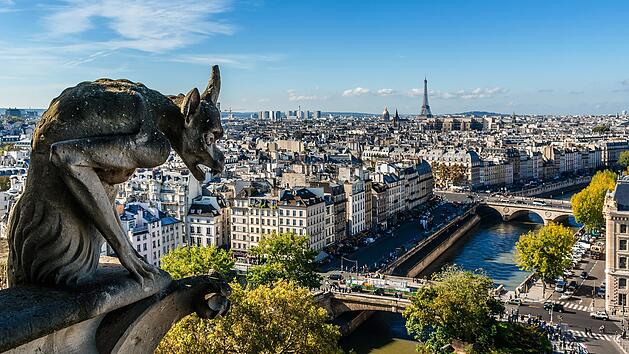 Notre Dame de Paris: Ber&uuml;hmte steinerne D&auml;monen, Wasserspeier und Chim&auml;ren. Notre Dame de Paris: Famous Stone demons gargoyle and chimera.