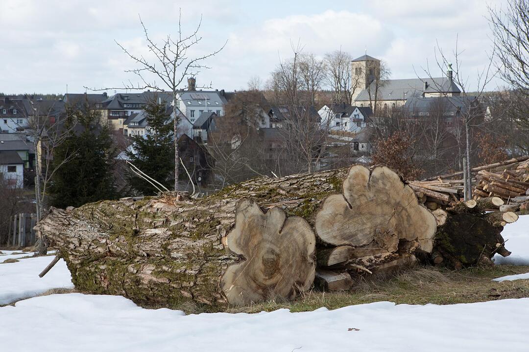 SoS; Teuschnitz; Lkr. Kronach; Gemeindeseite; Foto: Barbara Herbst