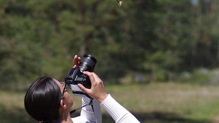 Kathrin Schaumburg fotografiert zwei Schmetterlinge im Flug. Foto: Marcel Unbehaun