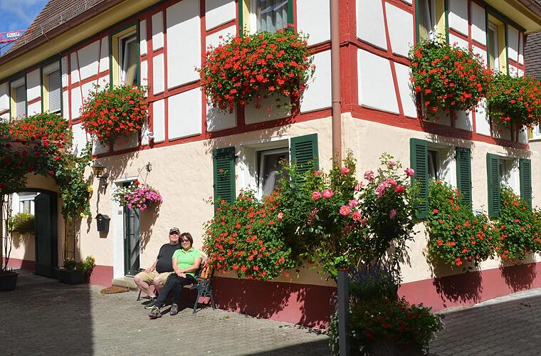 Blütenpracht findet Anerkennung - inFranken.de