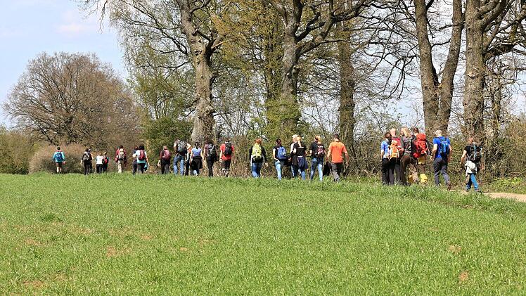5. Frankenwald-Wandermarathon in Kulmbach Foto: Ferdinand Merzbach