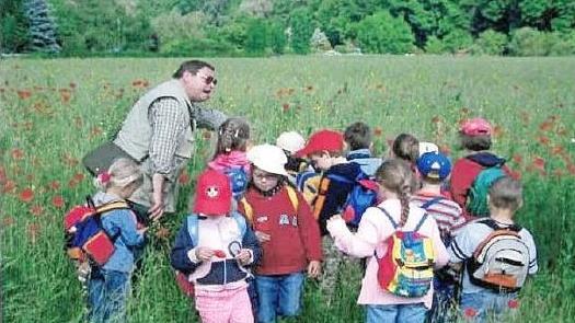Botanische Wanderungen von Wolfgang Hüttner boten sich auch für Kindergartengruppen an. Fotos: privat