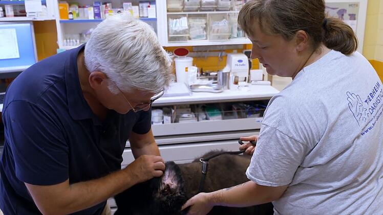 Tierheimleiter Christian Zentgraf betreut die "Unvermittelbaren" auch als Tierarzt.